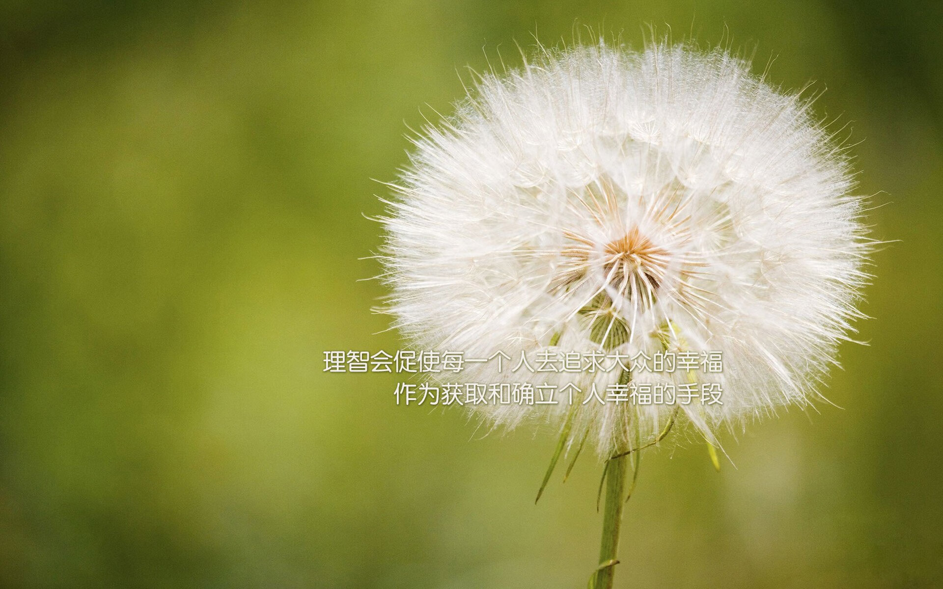 开云平台-拜仁慕尼黑俱乐部宣布签约西班牙中场球员，拜仁慕尼黑足球队