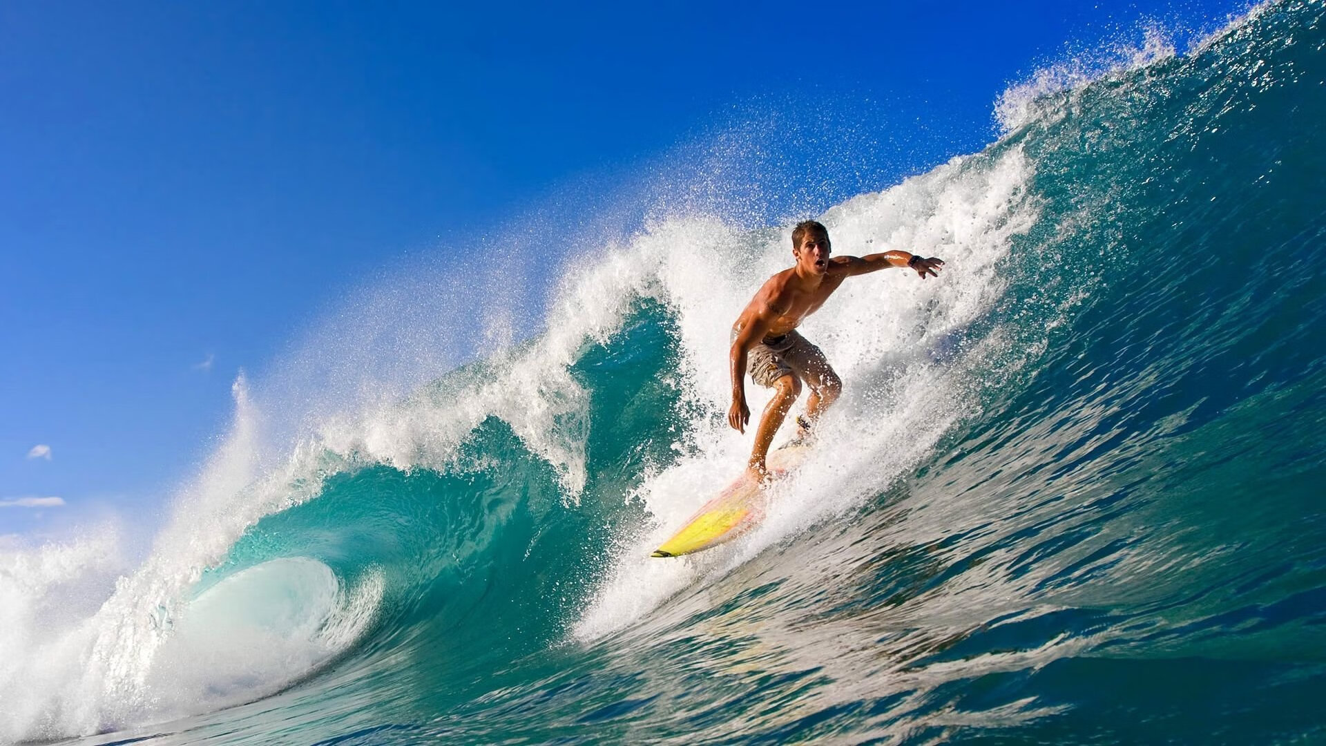 极速挑战极限:WRC赛道上的生死较量,极速挑战女嘉宾