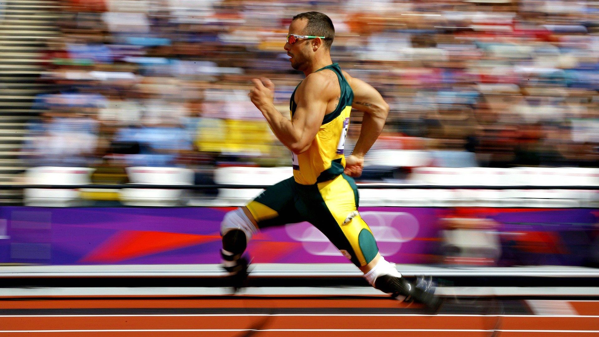 开云体育APP下载-比利时男子排球队在本届奥运会上获得第五名，比利时排球排名